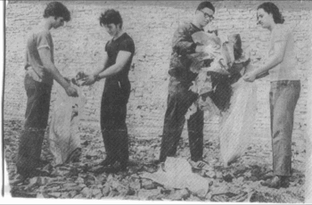 Reinberg School Gaylords Six Corner Cleanup