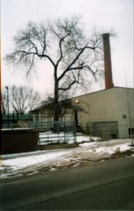 Sherman Park Pool