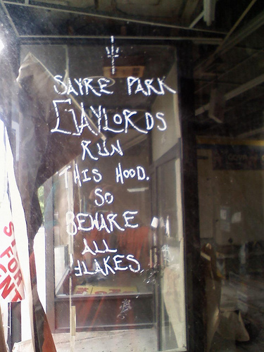 Sayre Park Window Tagging